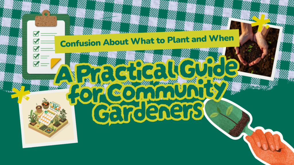 Confusion About Planting Timing A Practical Garden Guide