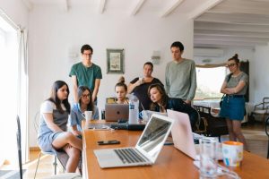 English - Business Startup Essentials and Entrepreneurship
