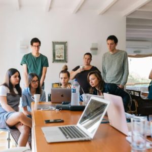 English - Business Startup Essentials and Entrepreneurship